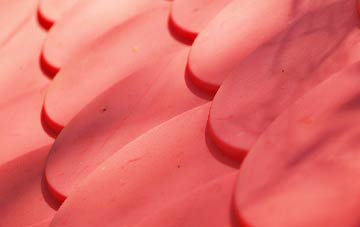 Bottomcraig plastic roof costs