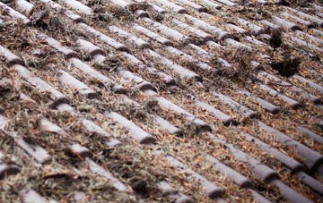 Bottomcraig roof cleaning companies