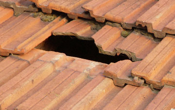 roof repair Bottomcraig, Fife