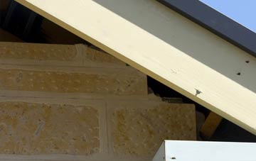 soffit repair Bottomcraig